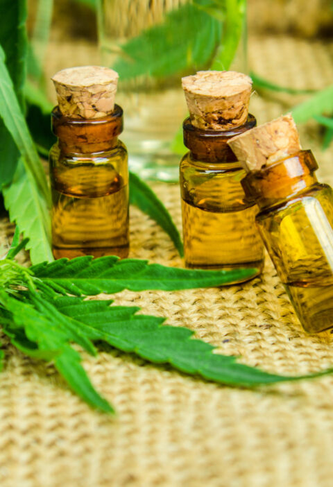 If you are an athlete or workout consistently, then CBD may be a useful tool for muscle recovery. Click here for everything you need to know.