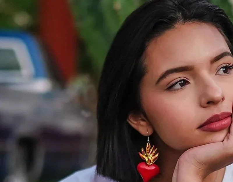 Angela Anguilar's finances