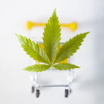 Exploring the Average Car Accident Settlement