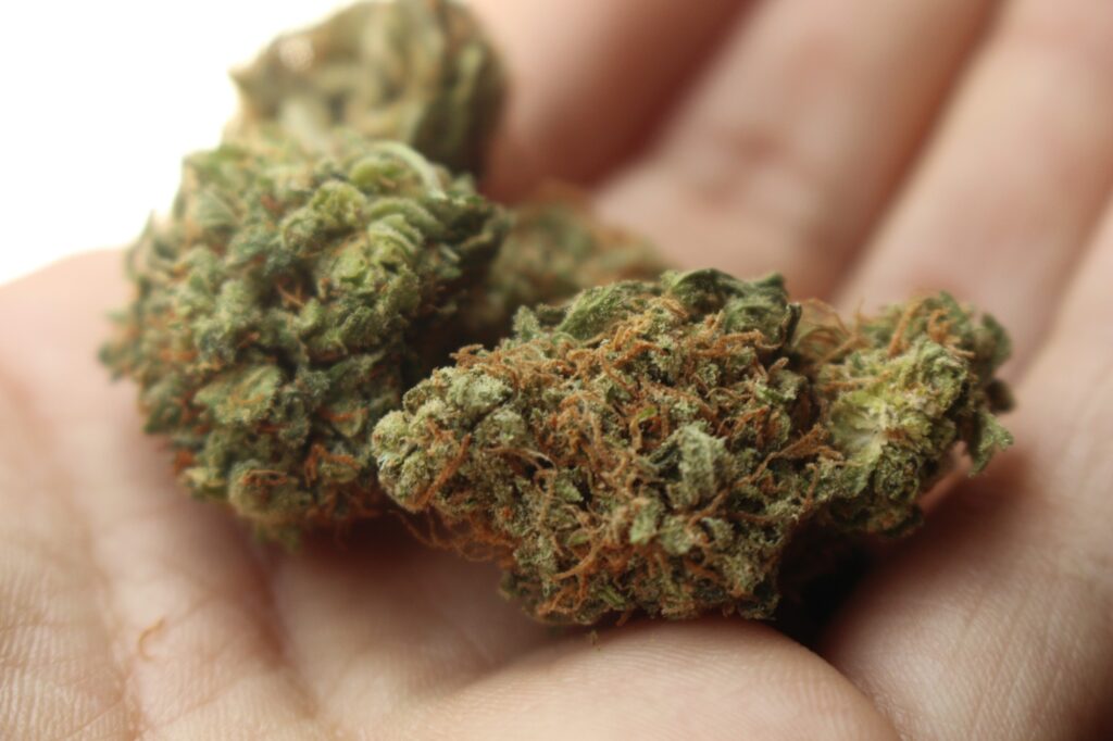 Sativa Vs Indica: What’s The Difference In Highs? - Angela Gallo's Blog