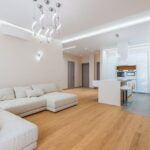 The Ultimate Guide to Preparing for Your Dolphin Tour