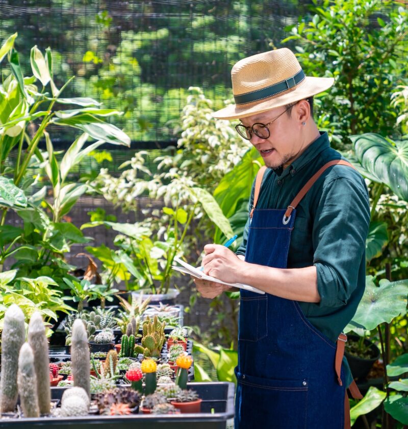 A Guide to Creating a Serene and Stunning Water Garden