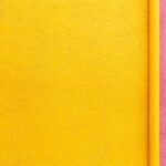 The Benefits of Regular Dental Check-Ups for Your Family