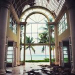 5 Tips for Caring for a Bonsai Tree