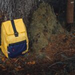 Use These Apps to Save More Money