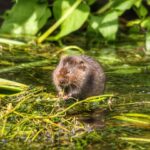 6 Tips for Choosing a Reliable Car Wreck Injury Lawyer