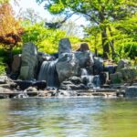 4 Effective Ways When Choosing the Right Home Cleaning Service for Your Needs