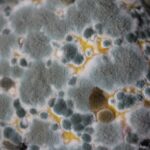 How To Feel Good When You Take a Look in the Mirror