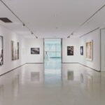 Transform Your Car with These Head-Turning Fender Flares