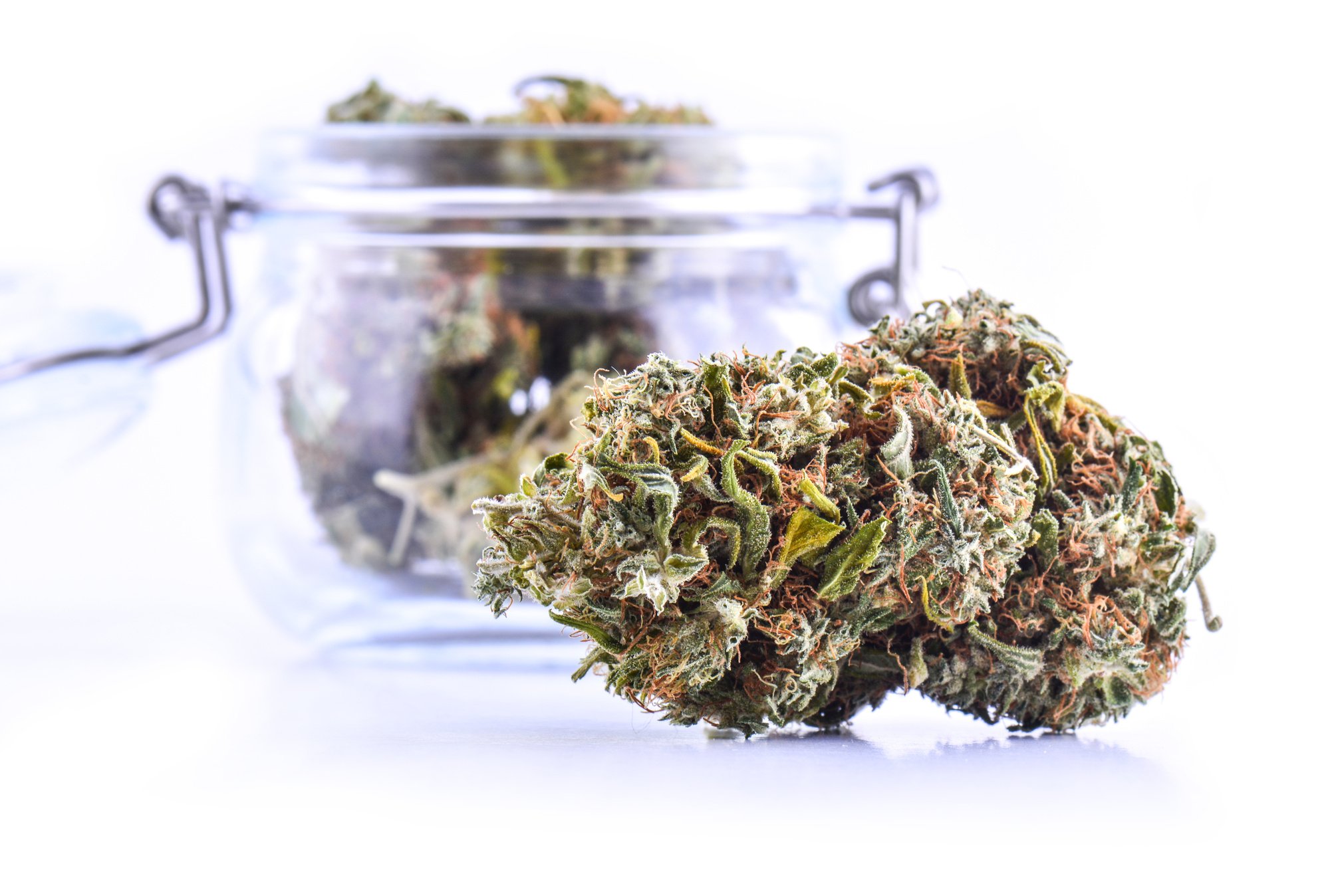 3 Benefits Of The Tringle Mintz Cannabis Strain - Angela Gallo's Blog