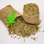 Private Flying: The Future of Travel