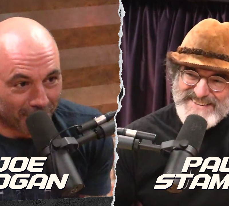 Portobello Mushroom Debate Scares Joe Rogan's Guest to Death
