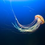 5 Strategies to Reduce Driver Turnover in Transportation Companies