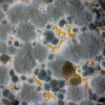 Is Handling Your Own IT Needs Better than Outsourcing?