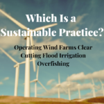 Understanding Trauma – How Therapists Help Clients Heal and Thrive