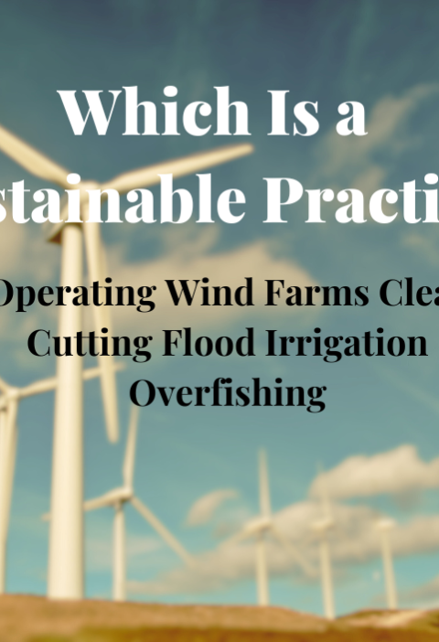 Which Is a Sustainable Practice?