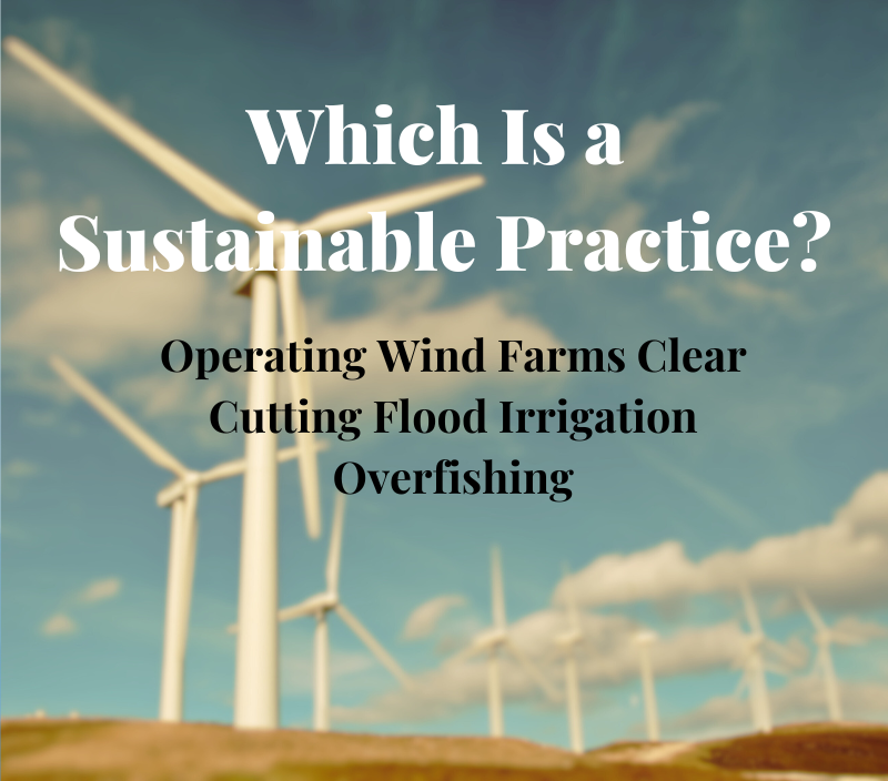 Which Is a Sustainable Practice?