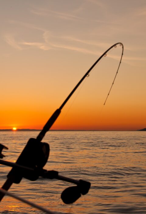 fishing