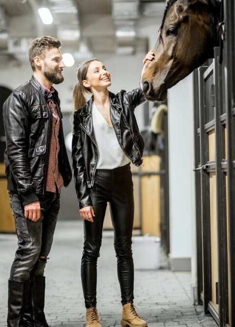 Creating a Healthy and Happy Environment in Your Horse Barn