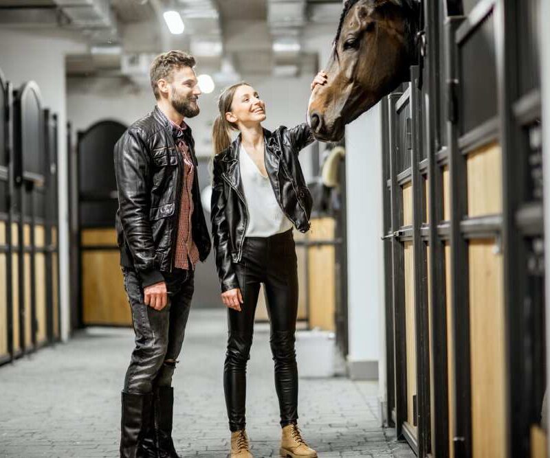 Creating a Healthy and Happy Environment in Your Horse Barn