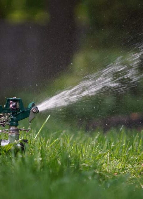 The Importance of Timely Sprinkler Repair