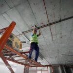 6 Reasons Why Feeder Roaches Are Ideal for Reptile Diets