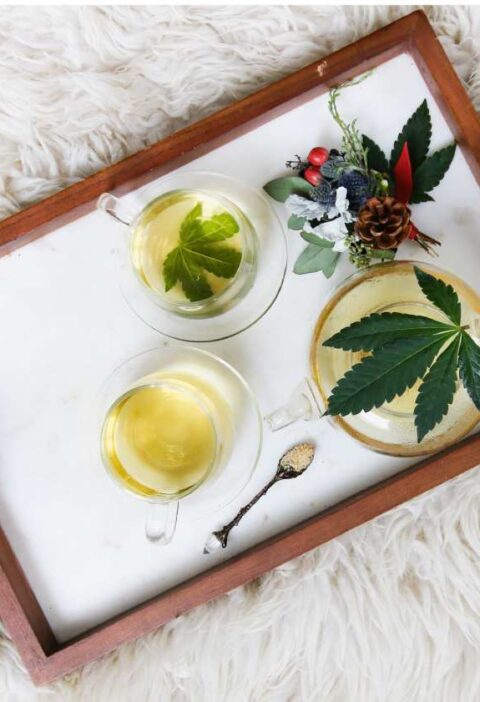 What to Expect When Trying Cannabis Edibles For the First Time