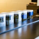 A Quick Guide to Estate Planning in Arizona