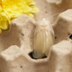 What Does Home Restoration Actually Involve?