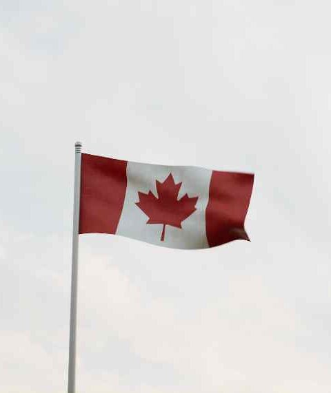 The Role of Immigration Consultants