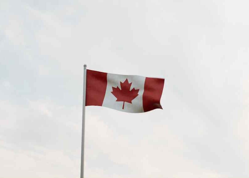 The Role of Immigration Consultants