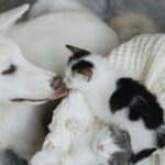 How a Skilled Workplace Accident Attorney Can Help