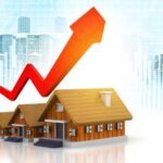 Pet on Air – Ensuring a Safe and Comfortable Journey for Your Furry Friend