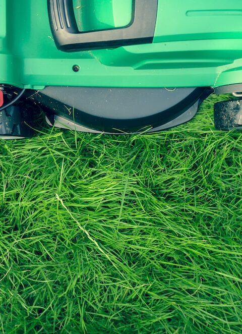 Blossoming Success: How Landscaping Services Can Transform Your Home and Increase Your Property Value