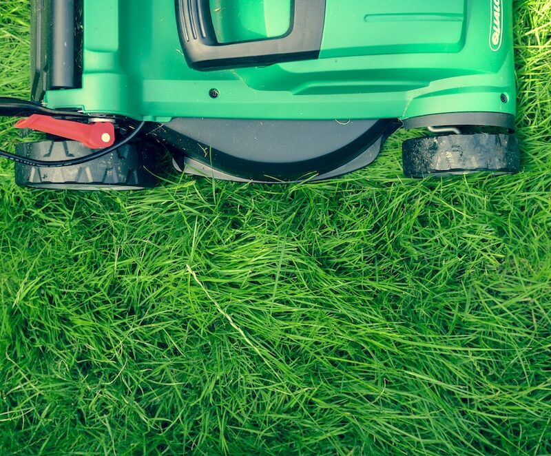 Blossoming Success: How Landscaping Services Can Transform Your Home and Increase Your Property Value