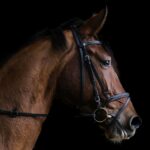 Understanding the Signs and Symptoms of Ecstasy Addiction