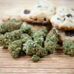 Navigating Teenage Group Therapy for Addiction: What to Expect