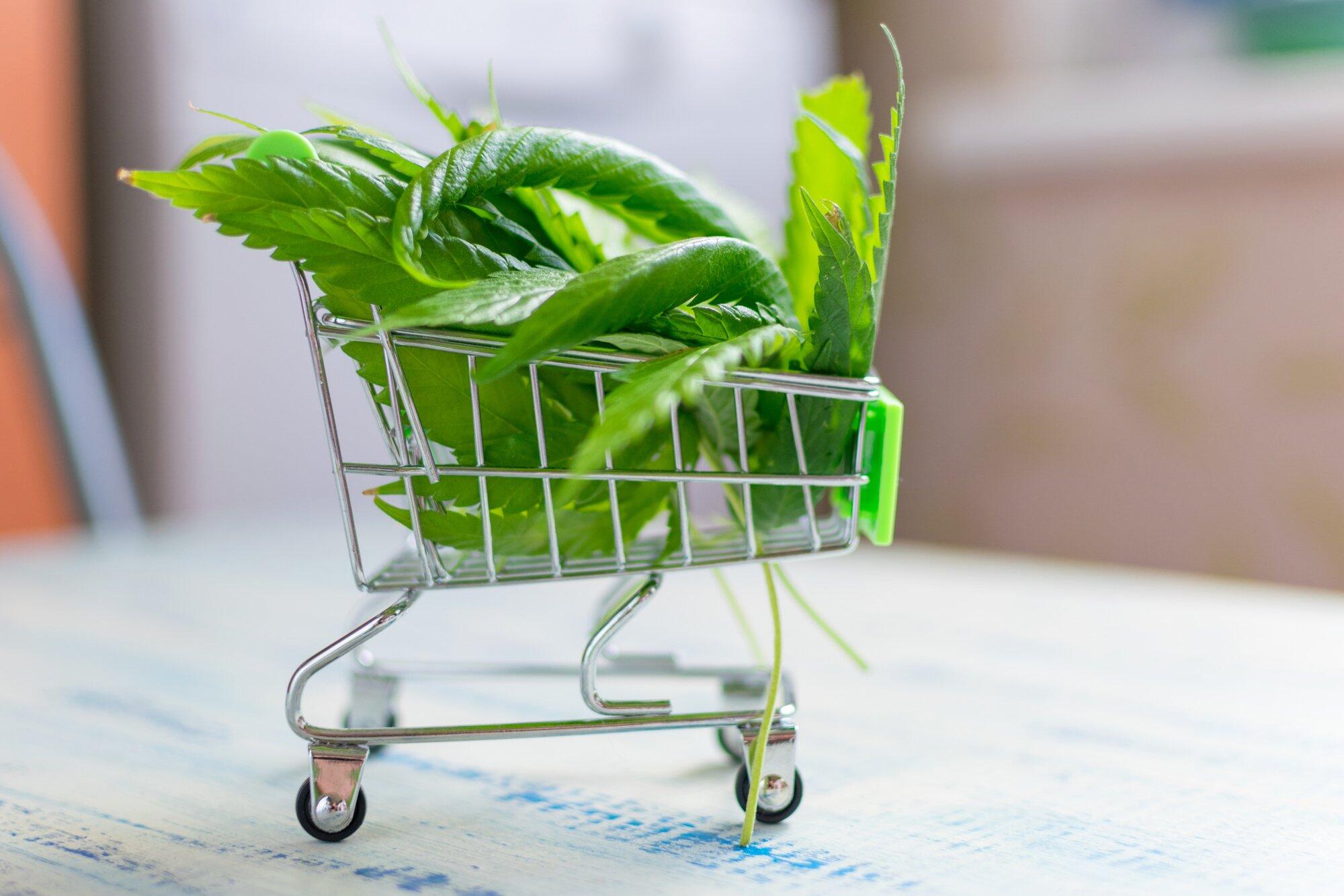 f53b4808af49124c5c4e6bb1d44fbce8