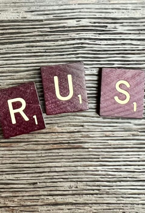 The Importance Of Building A Foundation of Trust in Relationships