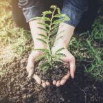 Unveiling the Marvels of Compounding Pharmacies: A Gateway to Personalized Medicine