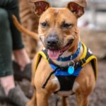 Understanding the Different Types of Binding Systems for Print Finishing