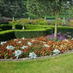 Finding the Right Fit: A Guide to Choosing the Best Boxing Gym for Your Goals