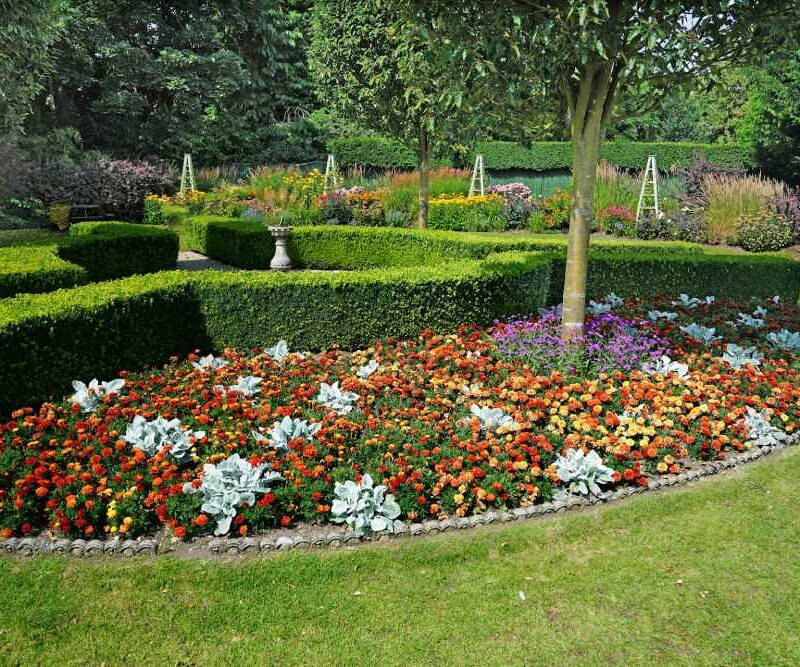 Exploring the Benefits and Techniques of Mulch Blowing for Landscape Health