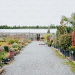 Selecting the Best Studio To Make TV Commercials for Businesses