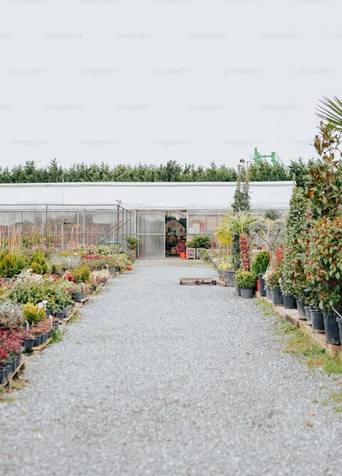 How To Prepare Your Garden For Summer