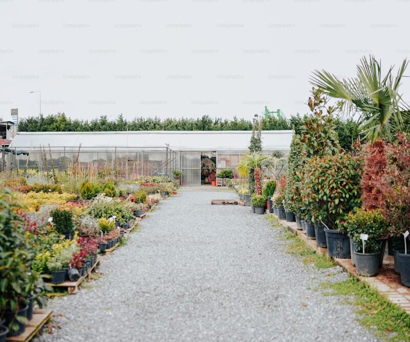 How To Prepare Your Garden For Summer