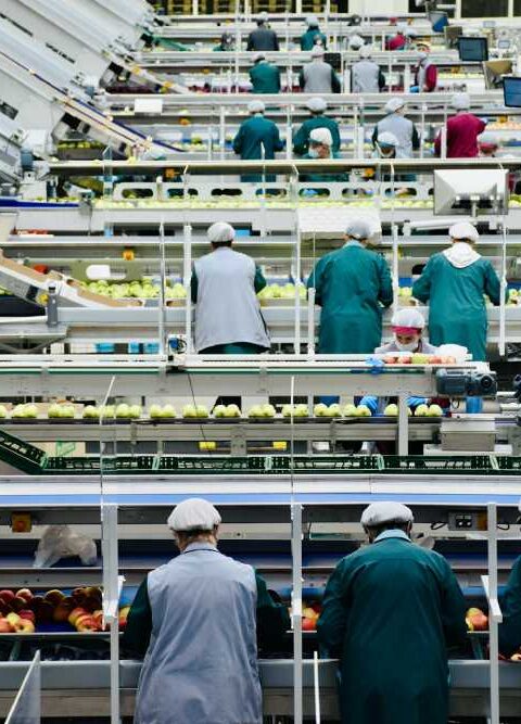 Opportunities And Insights in the Casting Industry