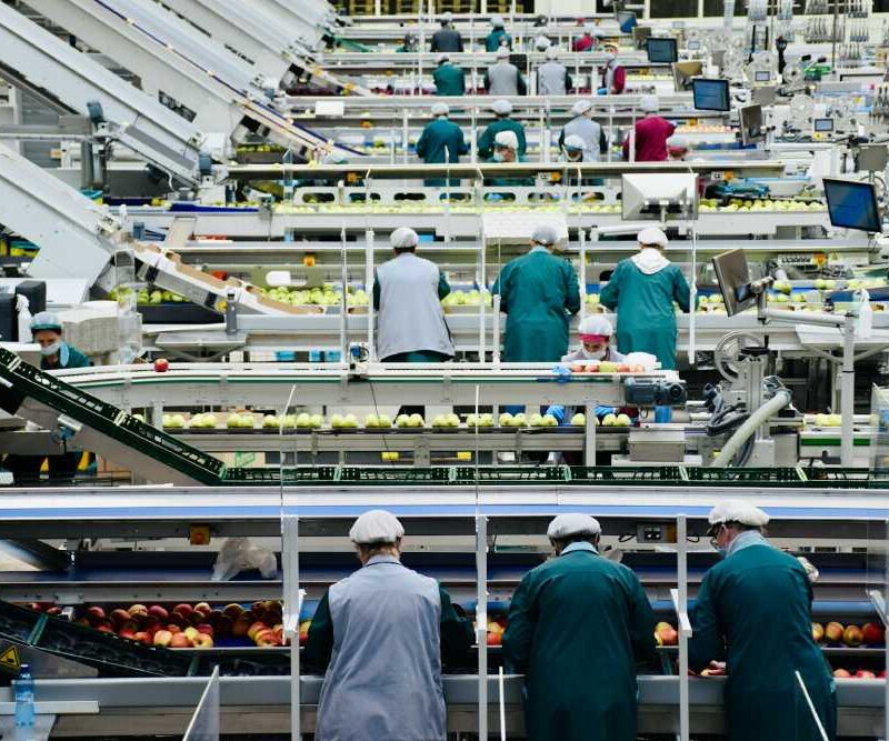 Opportunities And Insights in the Casting Industry