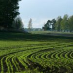 No More Headaches, More Happy Parents: Simplifying Pediatric Billing for Everyone