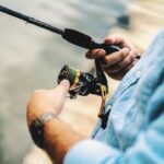 Dealing with Dead or Diseased Trees: The Importance of Prompt Residential Tree Removal